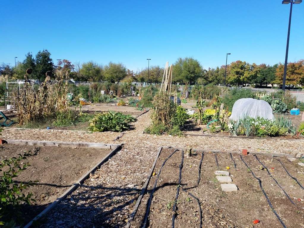 Community Gardens LARPD | 927-941 Loyola Way, Livermore, CA 94550, USA | Phone: (925) 373-5700