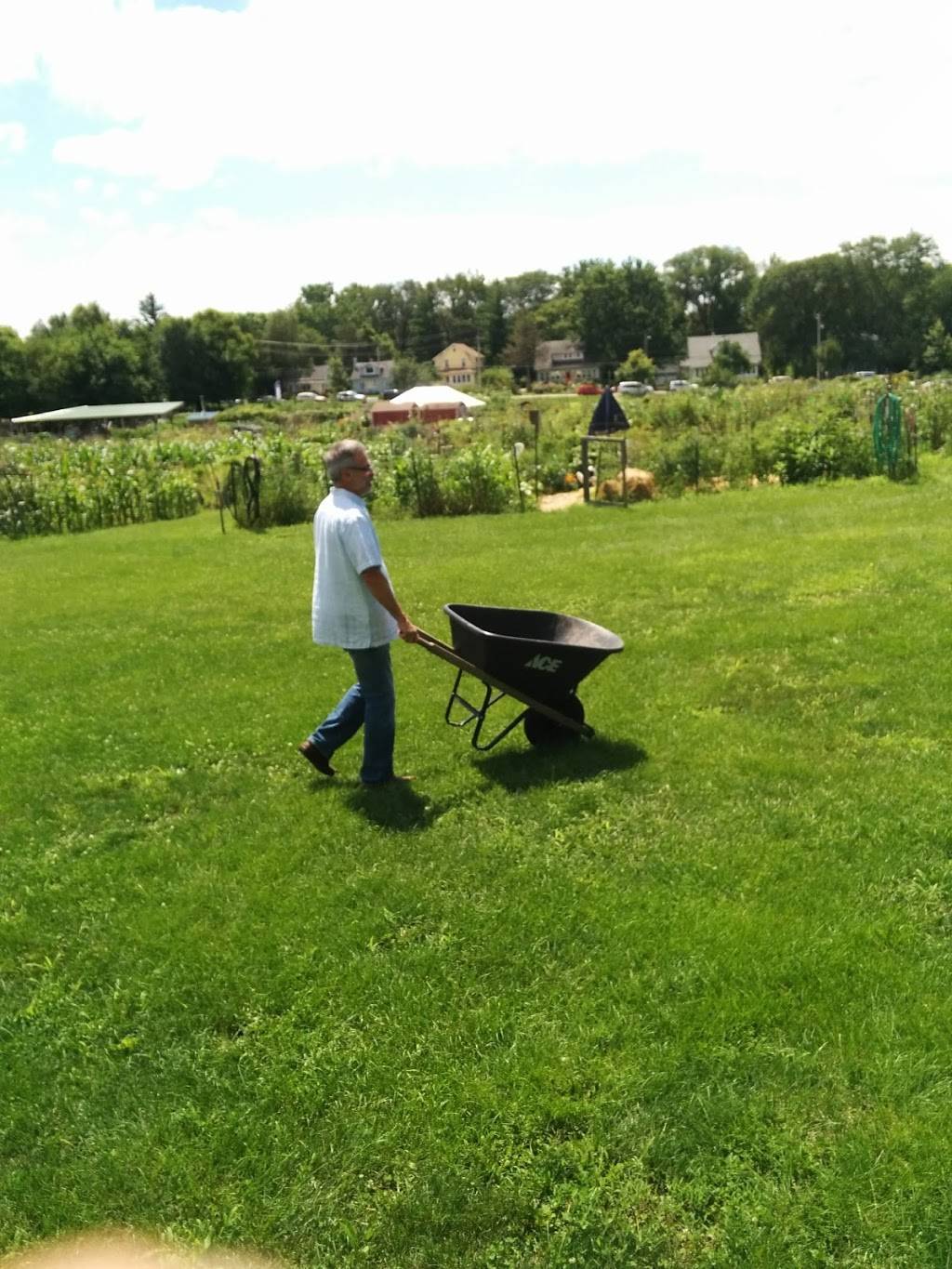 Troy Community Gardens | 502 Troy Dr, Madison, WI 53704, USA | Phone: (608) 240-0409