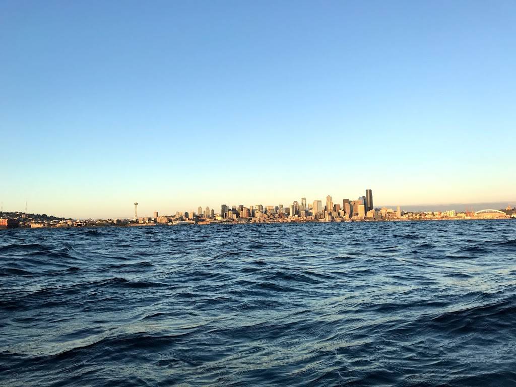 Alki Kayak Tours | 1660 Harbor Ave SW, Seattle, WA 98126, USA | Phone: (206) 953-0237