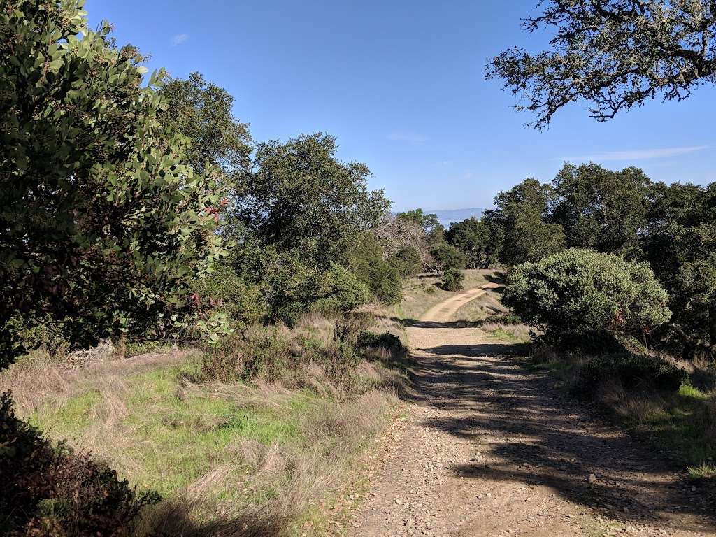 Loma Verde Preserve | Novato, CA 94949 | Phone: (415) 473-4381