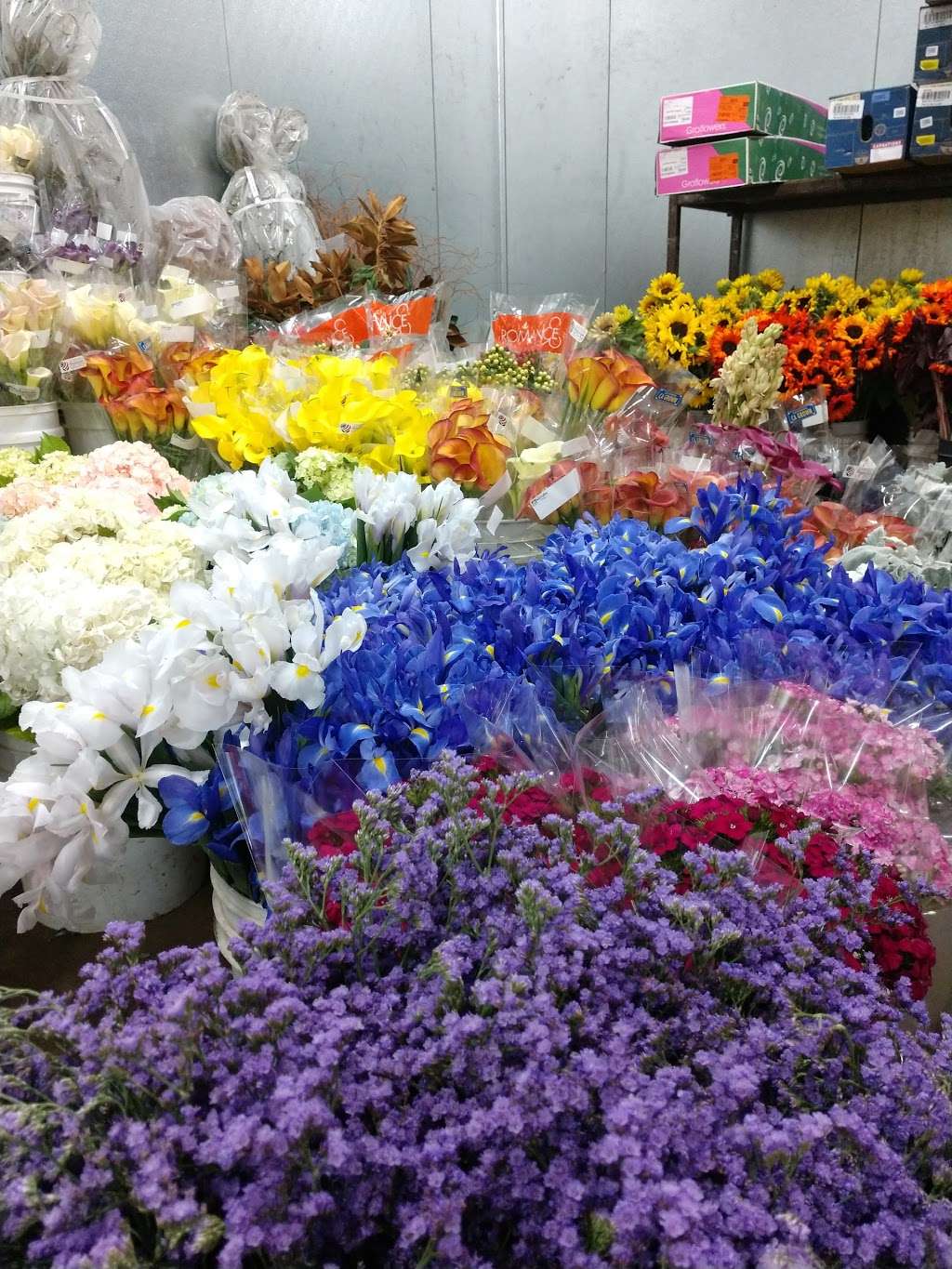 Corinas Wholesale Flowers | 5858 Dryden Pl, Carlsbad, CA 92008, USA | Phone: (760) 603-7914