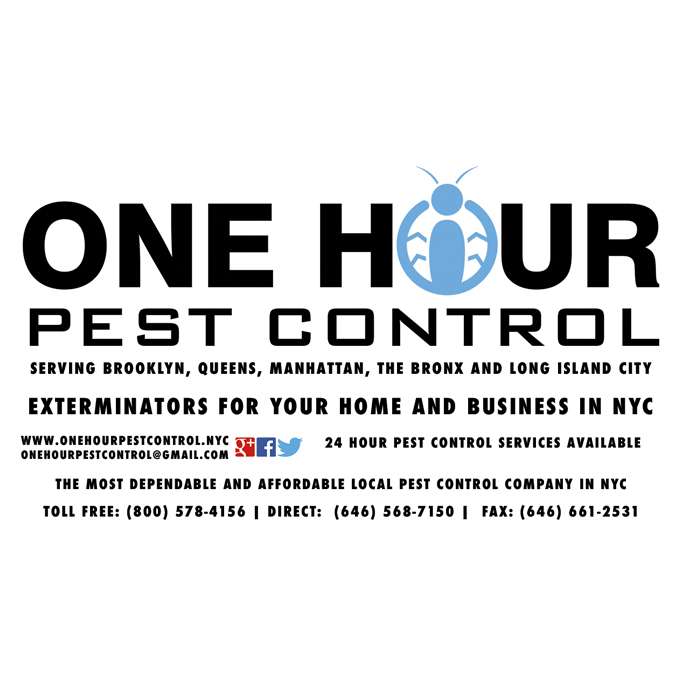One Hour Pest Control | 69-64 74th St, Flushing, NY 11379 | Phone: (646) 568-7150