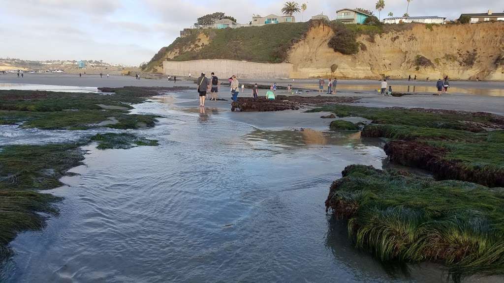 Tide Park Beach | 505 Pacific Ave, Solana Beach, CA 92075, USA