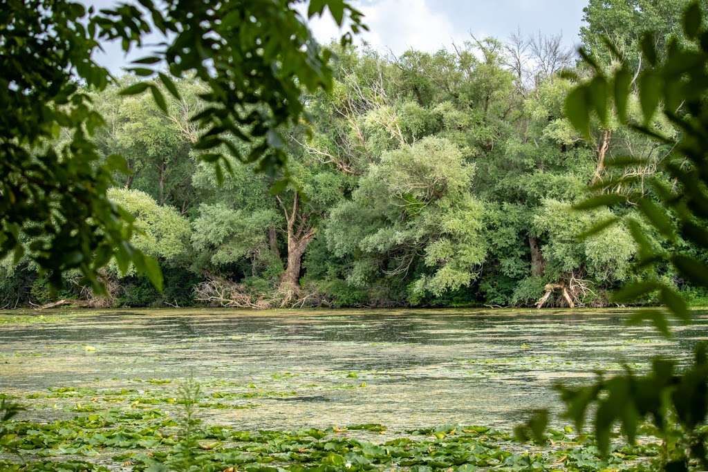 Mallard Lake | 6401-6499 Nature Center Dr, Franklin, WI 53132, USA