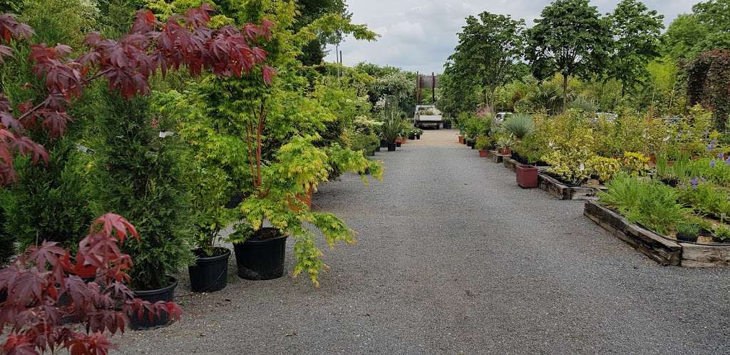 Connaught Farm Nurseries | Epping New Rd, Buckhurst Hill, Loughton IG10 4AA, UK | Phone: 020 8504 5168