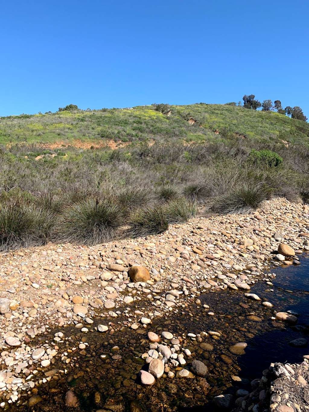 Navajo Canyon | Navajo Canyon Trail, San Diego, CA 92120, USA