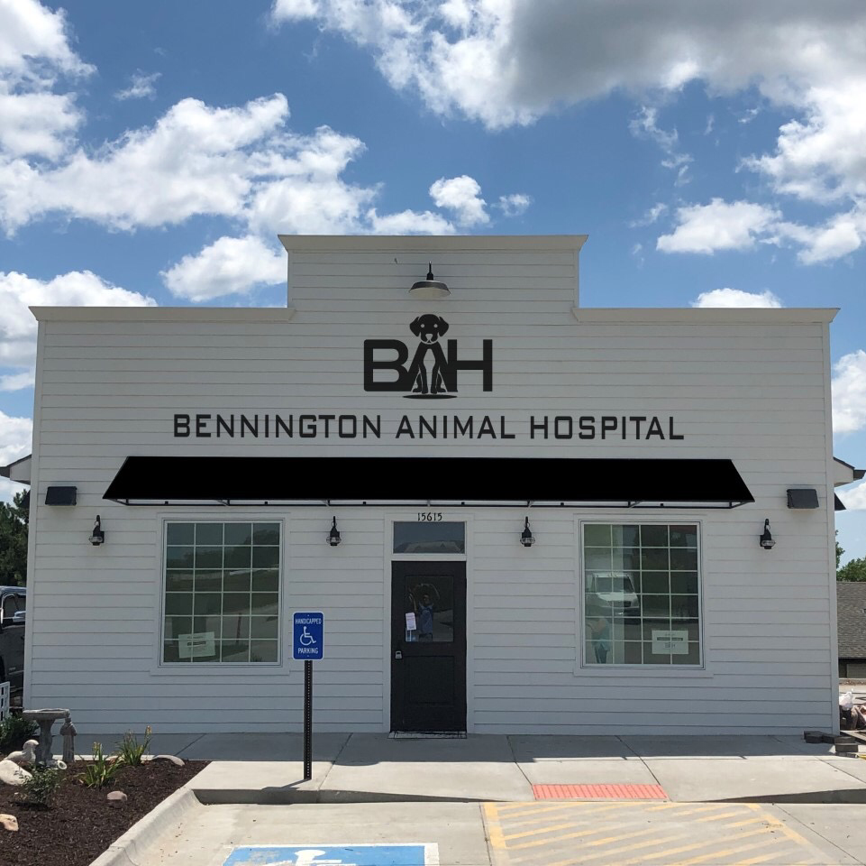 Bennington Animal Hospital | 15615 Center West Hadan Dr, Bennington, NE 68007, USA | Phone: (402) 452-3585