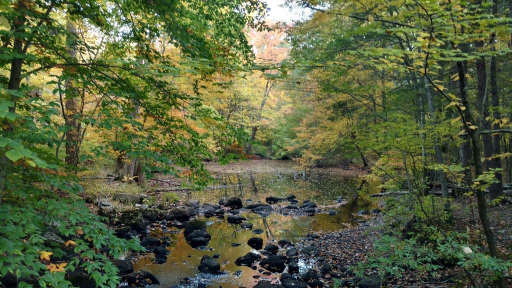 Stonebridge Waterfowl Preserve | 388-398 Newtown Turnpike, Wilton, CT 06897, USA