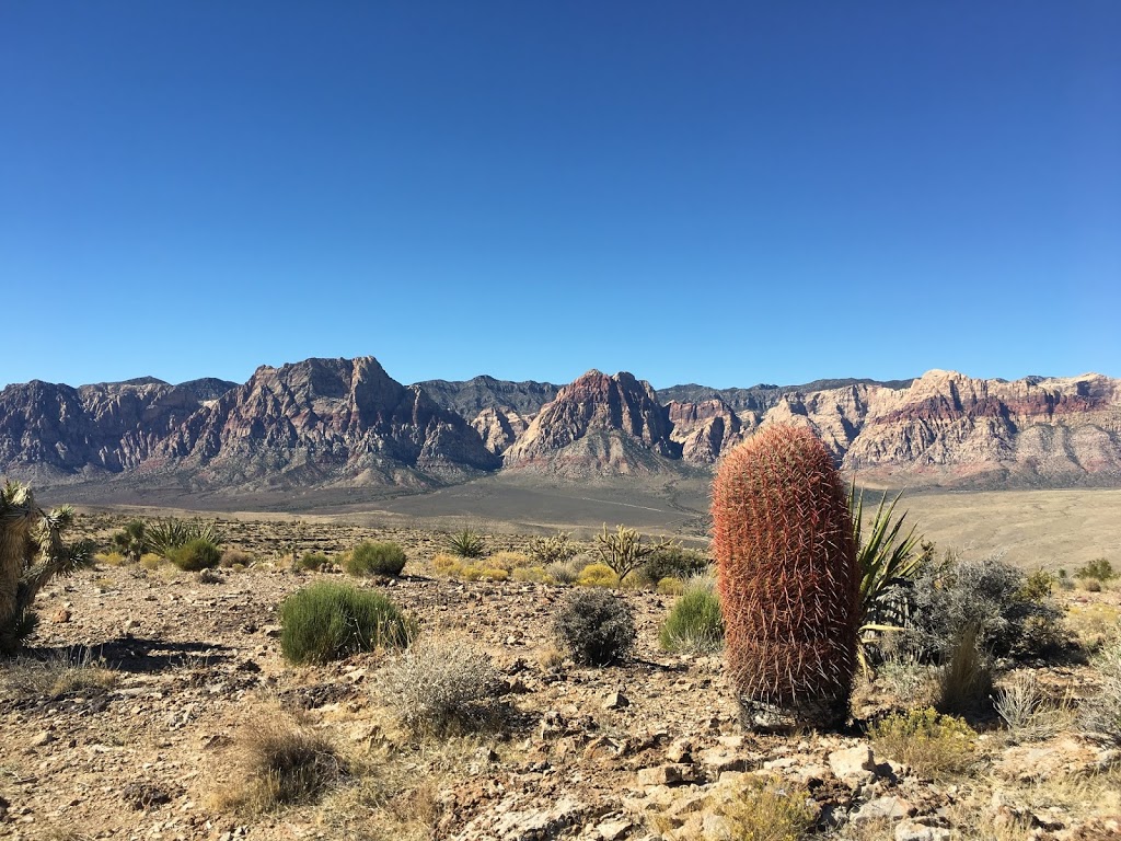 Fossil Canyon Trailhead Parking | 4053 Fossil Ridge Rd, Las Vegas, NV 89161