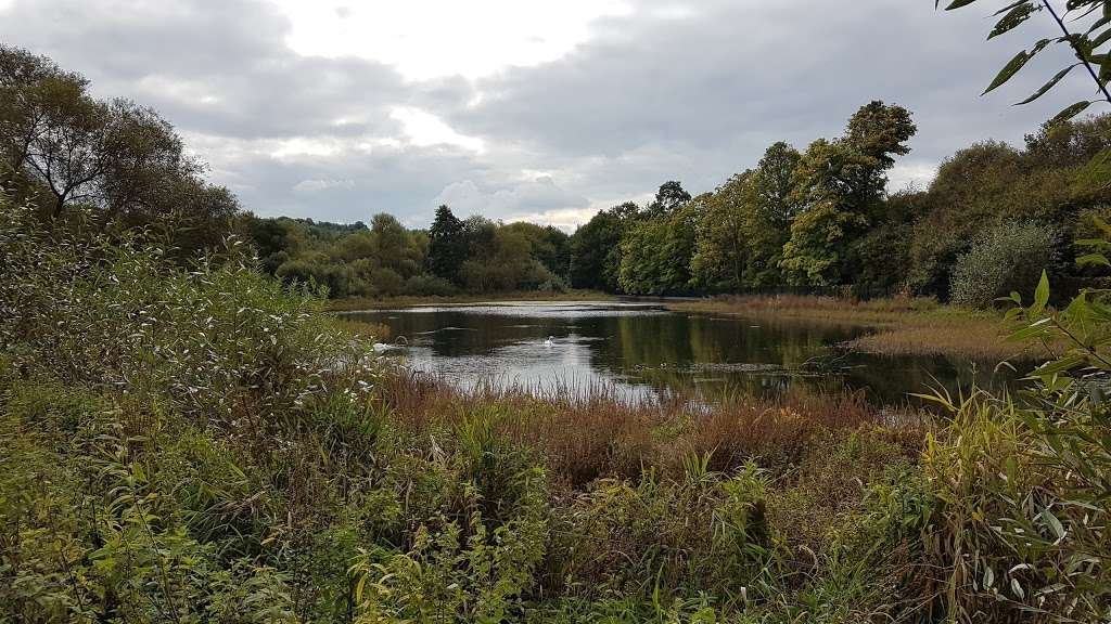 Moors Nature Reserve | Redhill RH1 4ER, UK