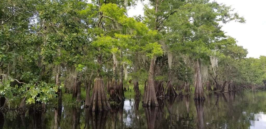 Capt Dukes Airboat Rides | 28500 East Colonial Drive, -Service Location 4825 Worth Ave, Titusville, FL 32780-Office, Christmas, FL 32709, USA | Phone: (321) 222-8969