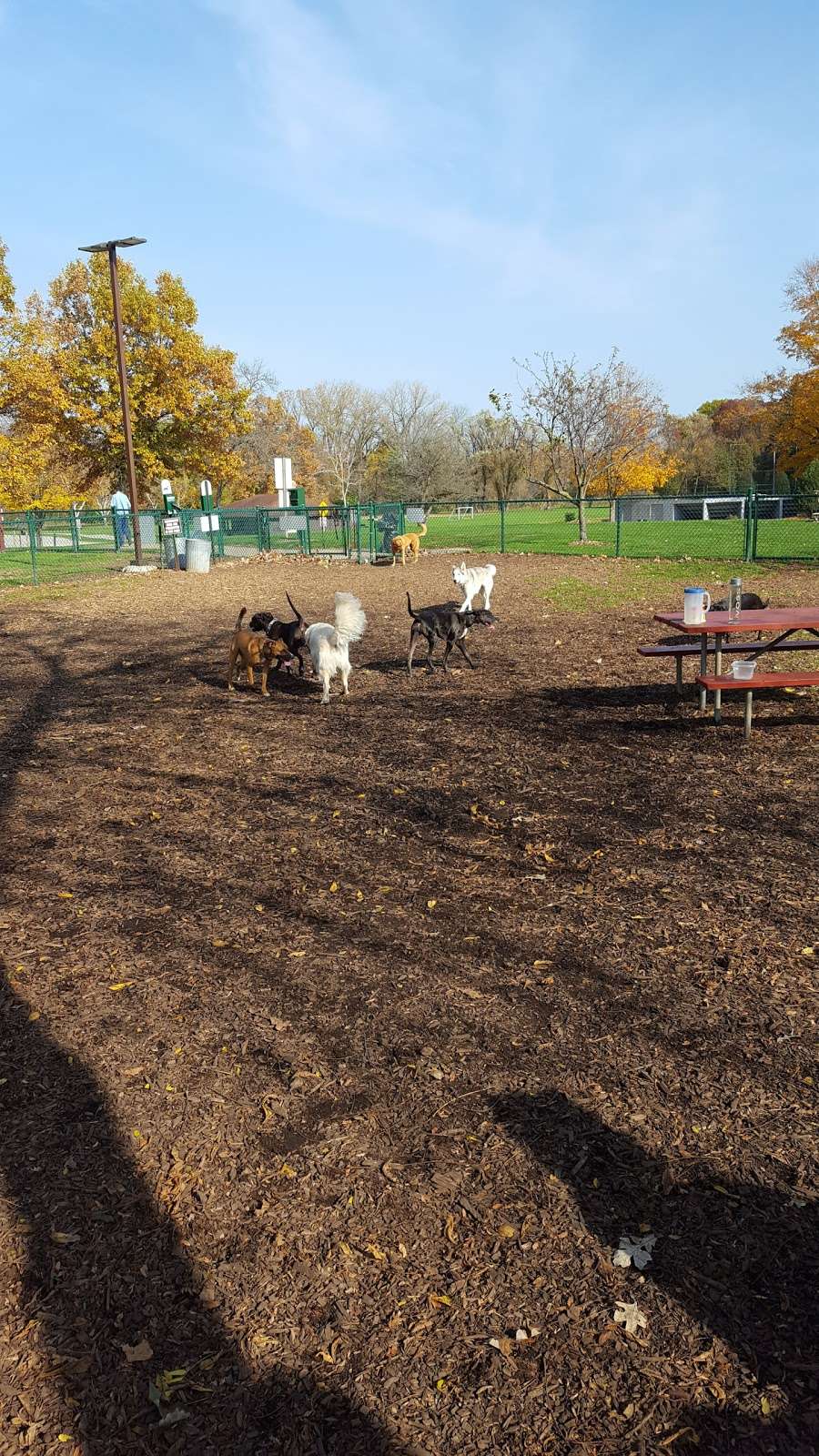 Carlisle Family Dog Park | 4700 Hwy JR, Kenosha, WI 53144, USA | Phone: (262) 857-1869