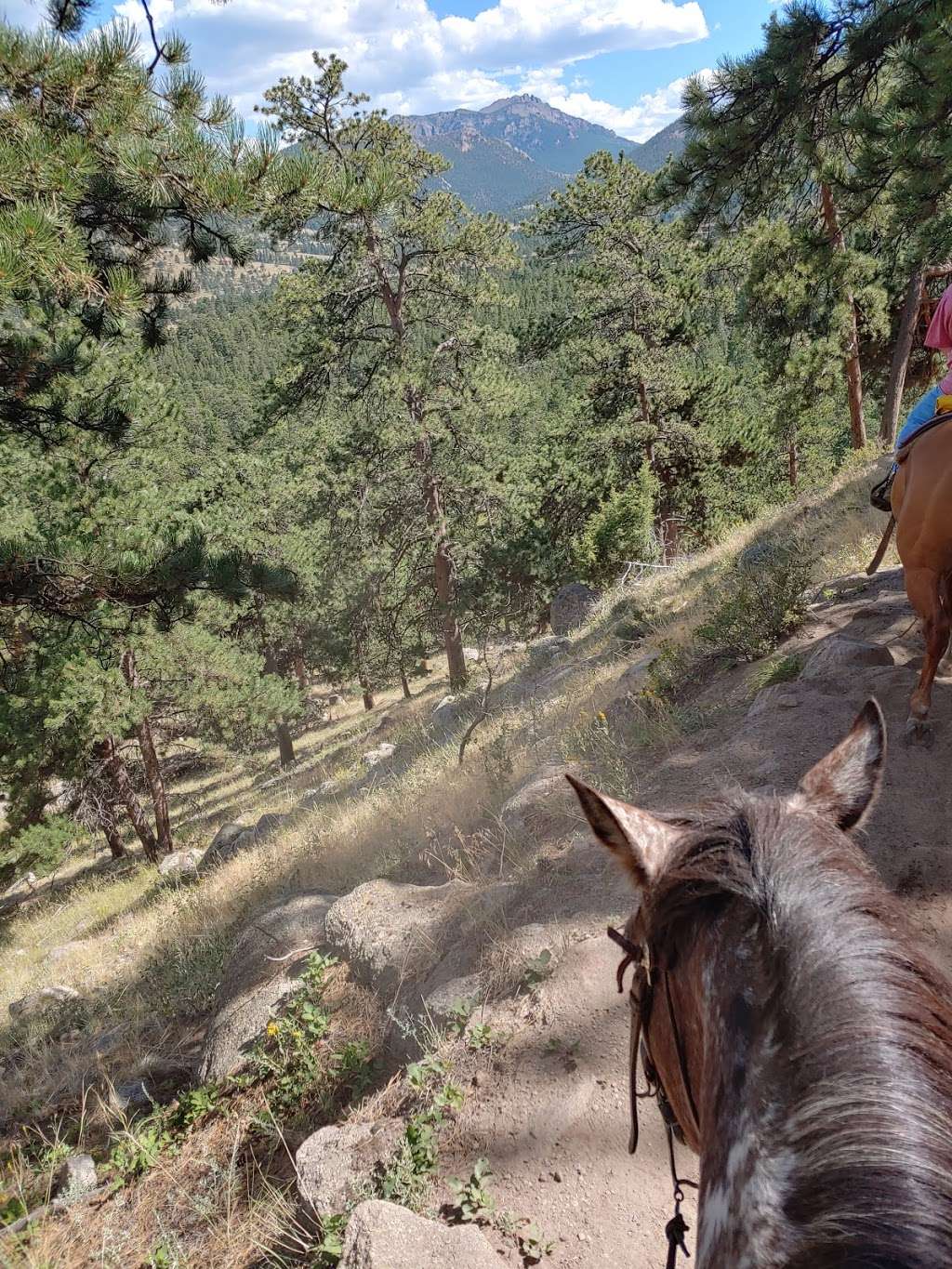 Jacksons Stables Inc | 9500, 2515 Tunnel Rd, Estes Park, CO 80511, USA | Phone: (970) 586-3341