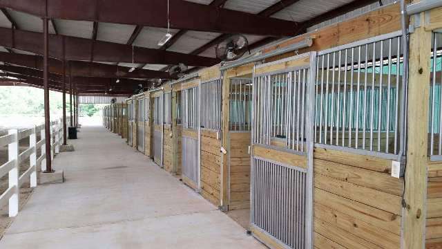 Equine International Stables | 13210 Creekway Dr, Cypress, TX 77429, USA | Phone: (713) 459-6488