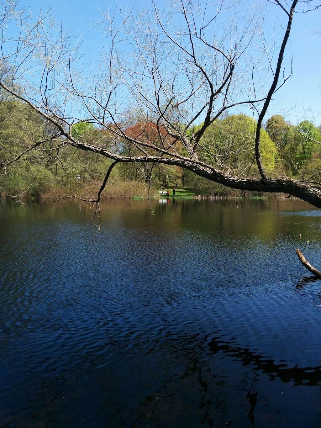 Daniel Boone Park | Ipswich, MA 01938, USA