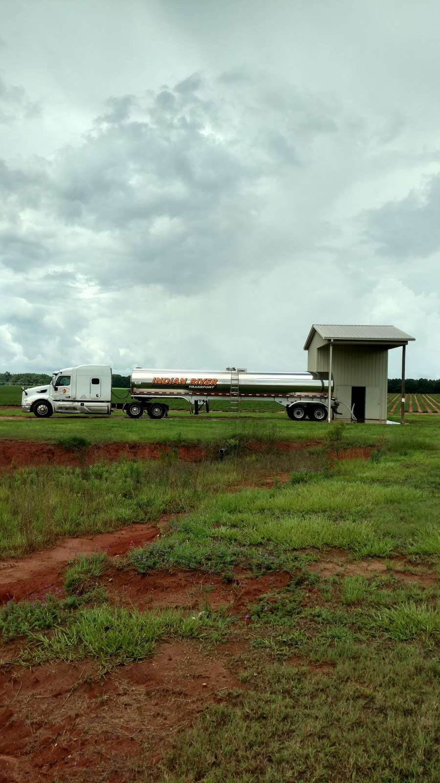 Indian River Transport | 2580 Executive Rd, Winter Haven, FL 33884, USA | Phone: (863) 324-2430