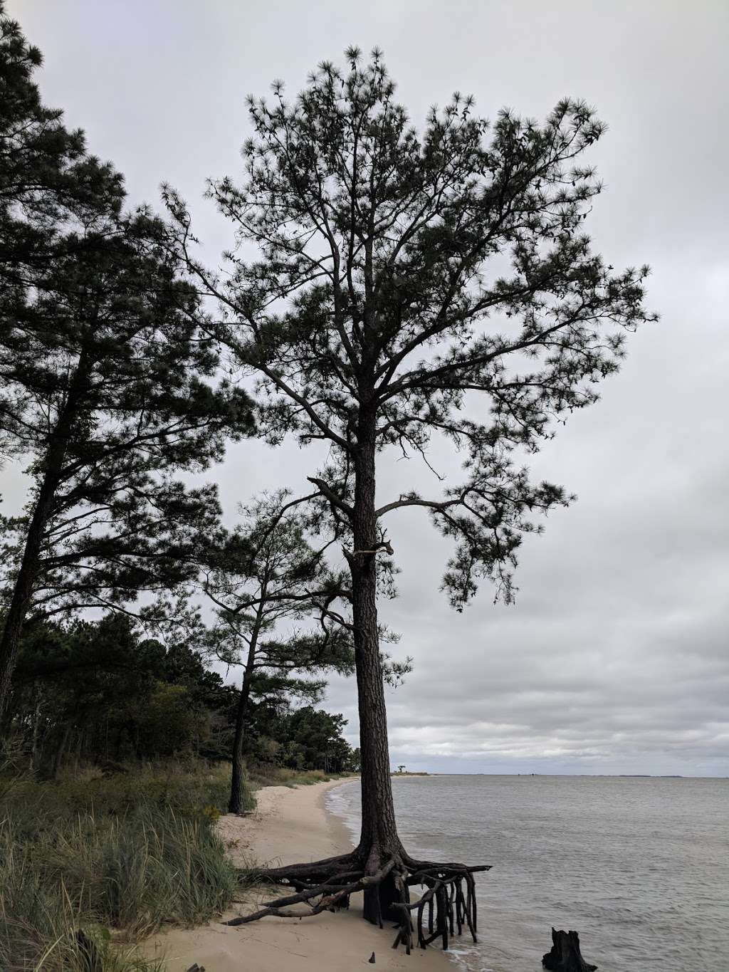 Roaring Point Park | Red Hill Ln, Nanticoke, MD 21840, USA