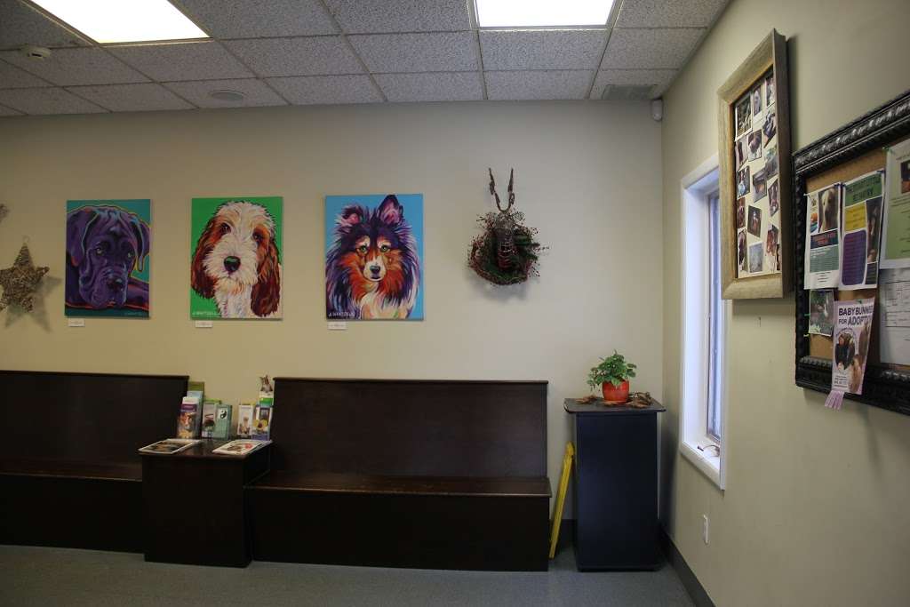 Monroe Animal Hospital & Pet Wellness Center | 427 NY-17M, Monroe, NY 10950, USA | Phone: (845) 782-8621