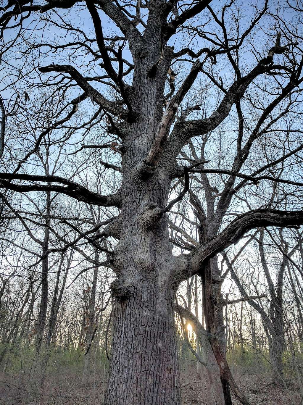 Larry Mattonen Memorial Trail | Cyclone Rd, Lees Summit, MO 64086, USA