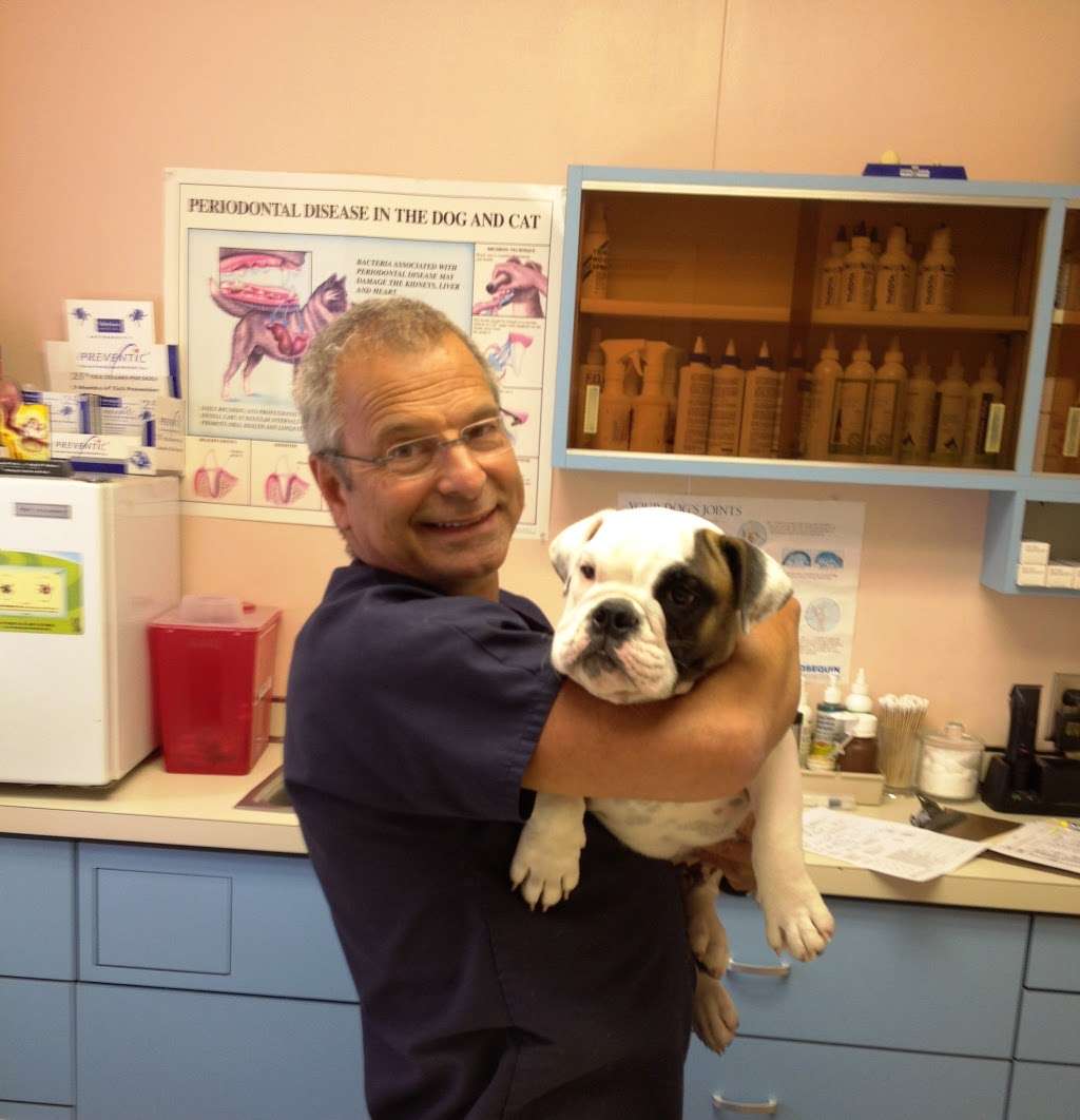 Malvern Veterinary Hospital | 545 S Warren Ave, Malvern, PA 19355, USA | Phone: (610) 647-2626