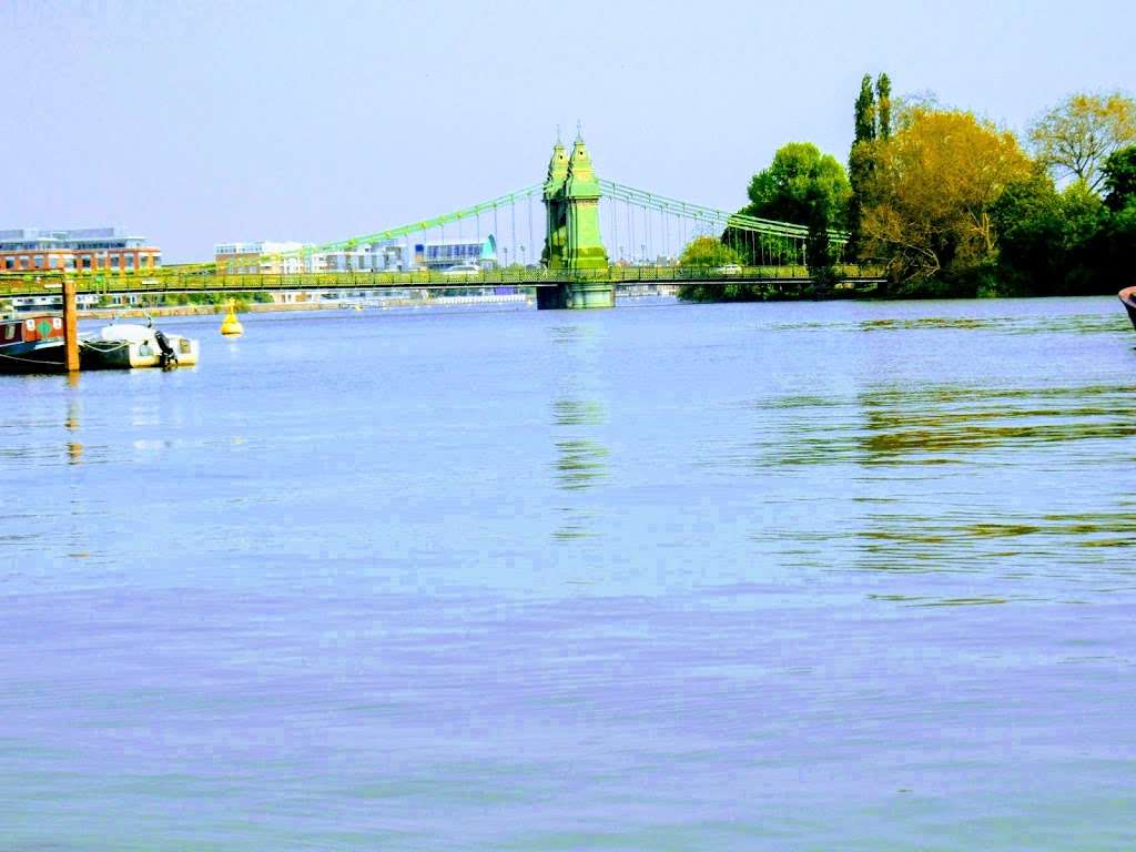 Hammersmith Bridge Road (Stop S) | Hammersmith, London W6 9DP, UK