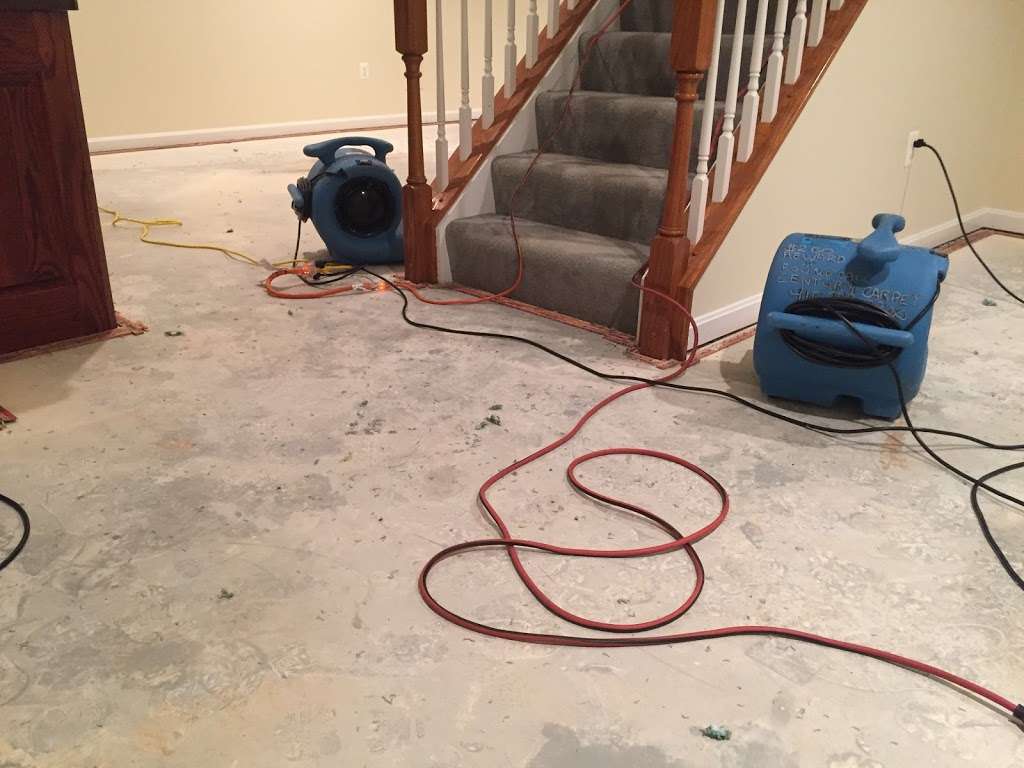 ULTIMATE CARPET CLEANING AND WATER DAMAGE RESTORATION | 9290 Tower Side Dr #204, Fairfax, VA 22031 | Phone: (703) 474-5500