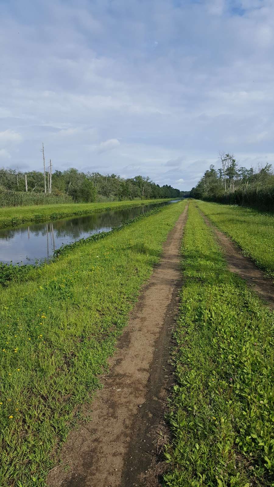 Trail Head, Topsfield Linear Common | MA-97, Danvers, MA 01923, USA