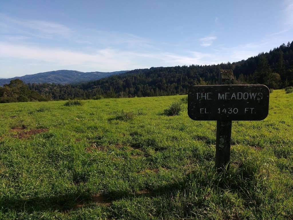 The Meadows | Intersection of Meadow Trail and Wunderlich Park, Bear Gulch Trail, Woodside, CA 94062, USA