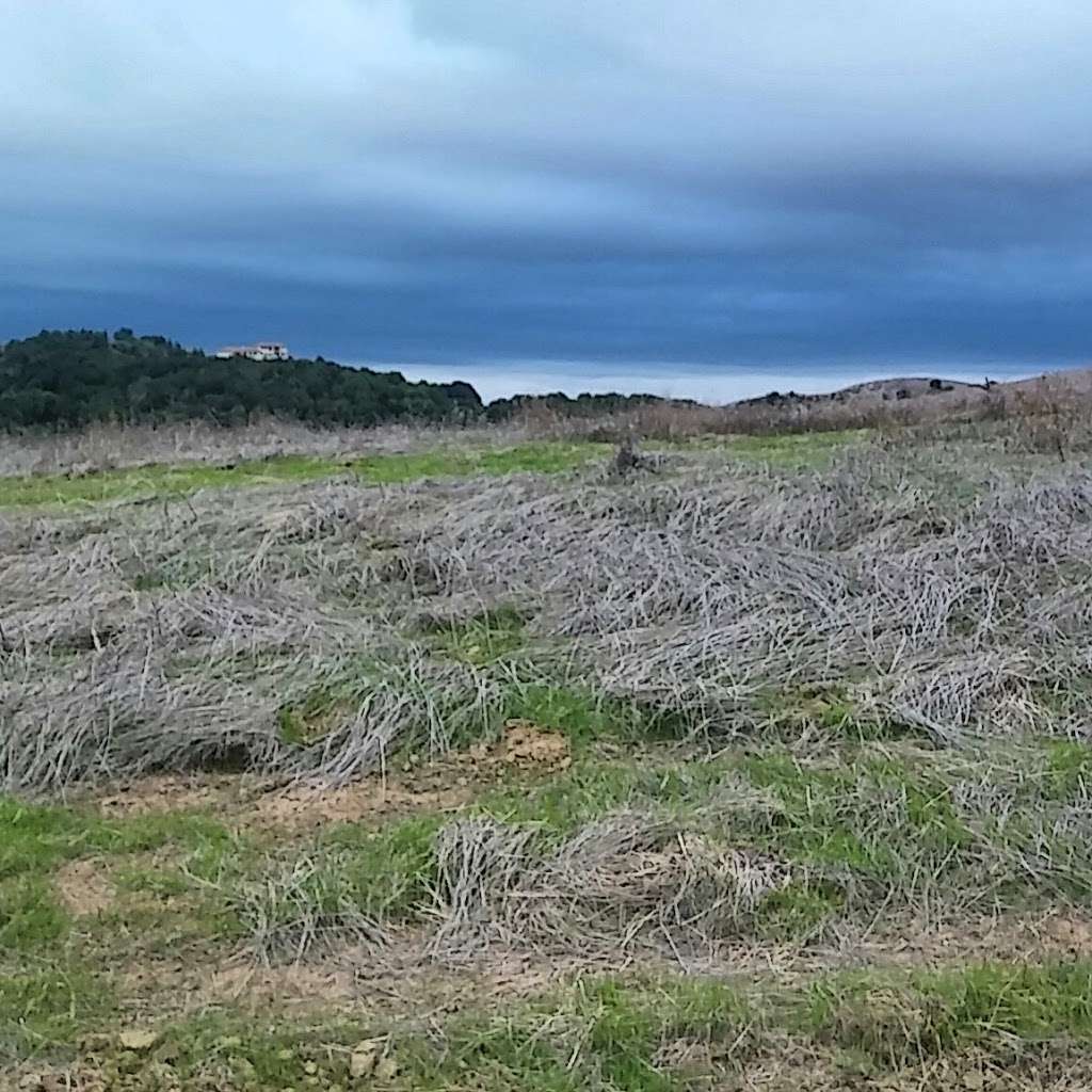 Sky Ranch Muir Land Trust Trails | Dutra Loop, Martinez, CA 94553