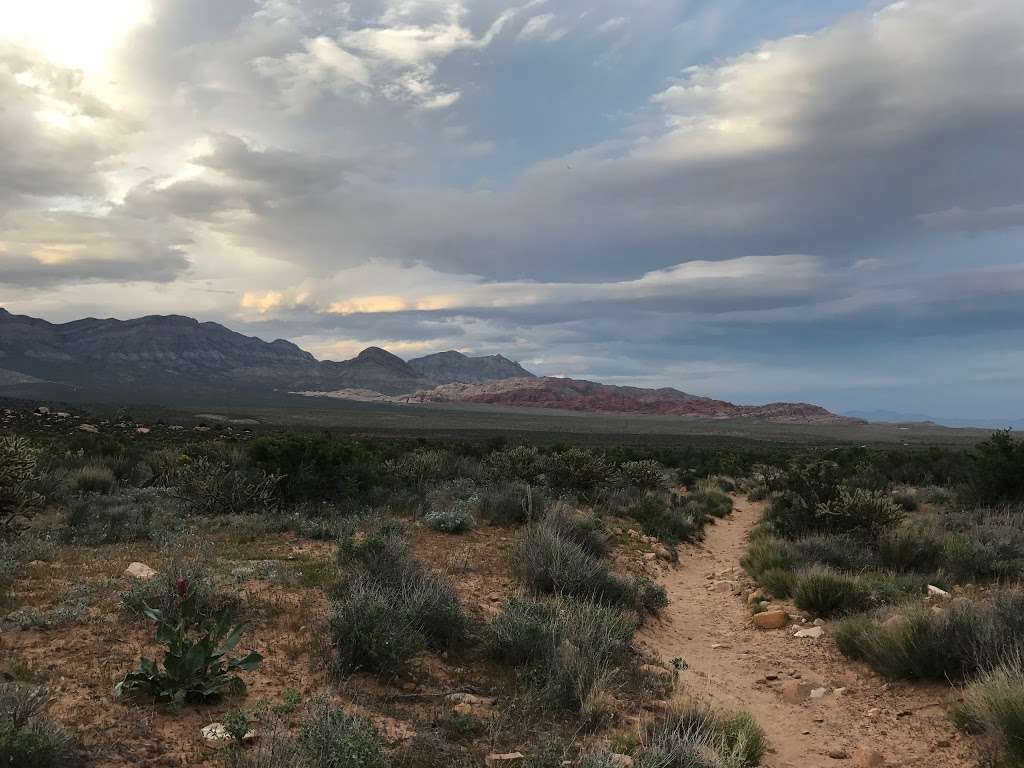 Oak Creek Trailhead | Oak Creek, Las Vegas, NV 89161, USA