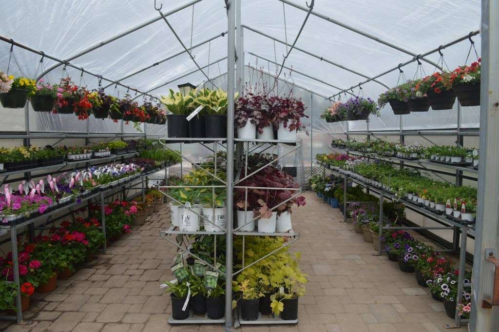 Sun and Shade Garden Center | 16646 W 127th St, Lemont, IL 60439, USA | Phone: (708) 359-9929