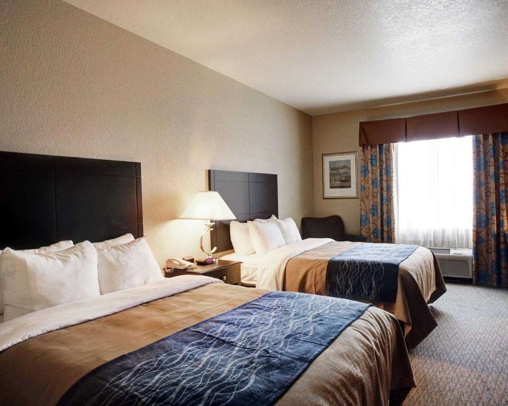 Comfort Inn & Suites Selma Near Randolph Afb | 15771 IH 35 N, Selma, TX 78154, USA | Phone: (210) 899-3929