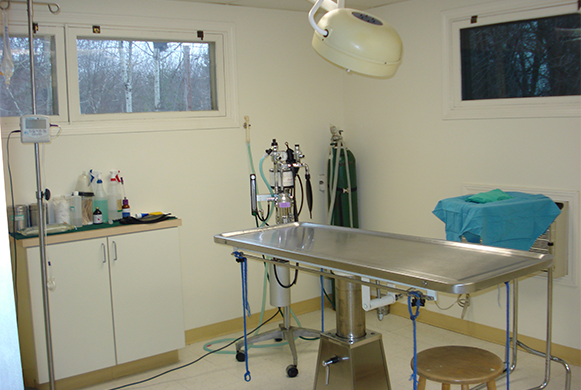 Handle With Care Veterinary Hospital | 33 Crystal Ave, Derry, NH 03038, USA | Phone: (603) 432-1404