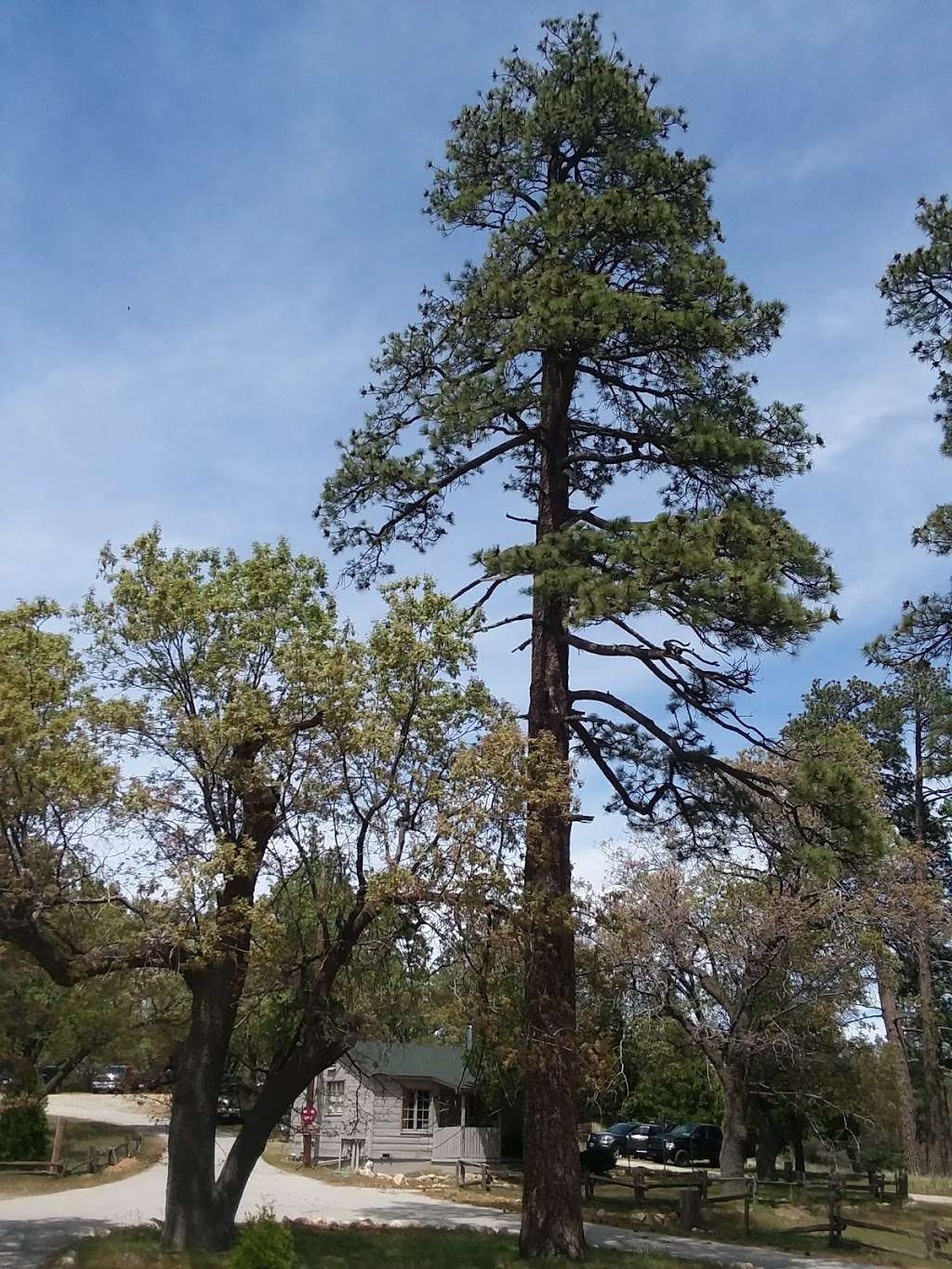 Rock Camp Hike | Metate / Rock Camp Trail 3W15, Lake Arrowhead, CA 92352