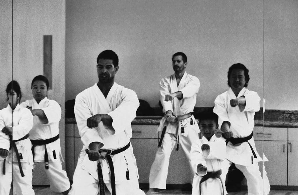 SEIWAKAI KARATE of SILICON VALLEY | 110 Jackson St, San Jose, CA 95112, USA | Phone: (408) 430-3828