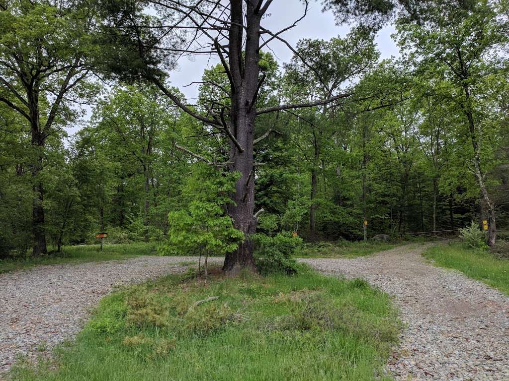 Cobey Pond Trailhead | Hawley, PA 18428, USA