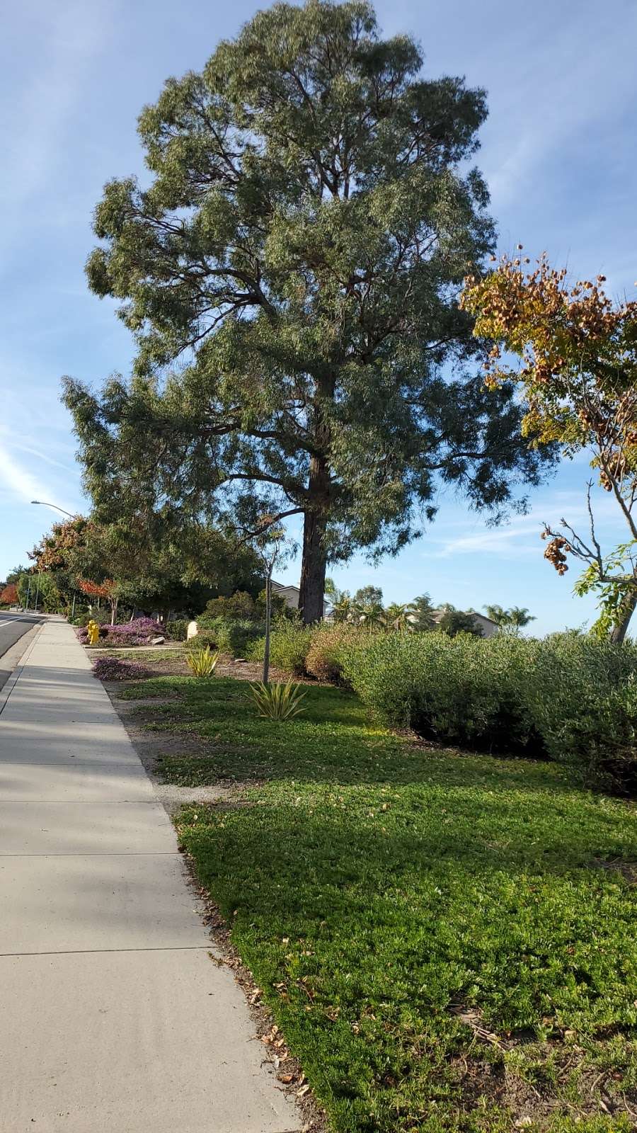 Canyon View Nature Park | Spring Canyon Rd, San Diego, CA 92131