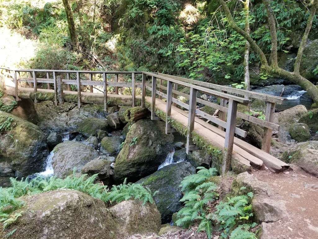 Gary Giacomini Open Space Preserve | San Geronimo Ridge Rd, Forest Knolls, CA 94933