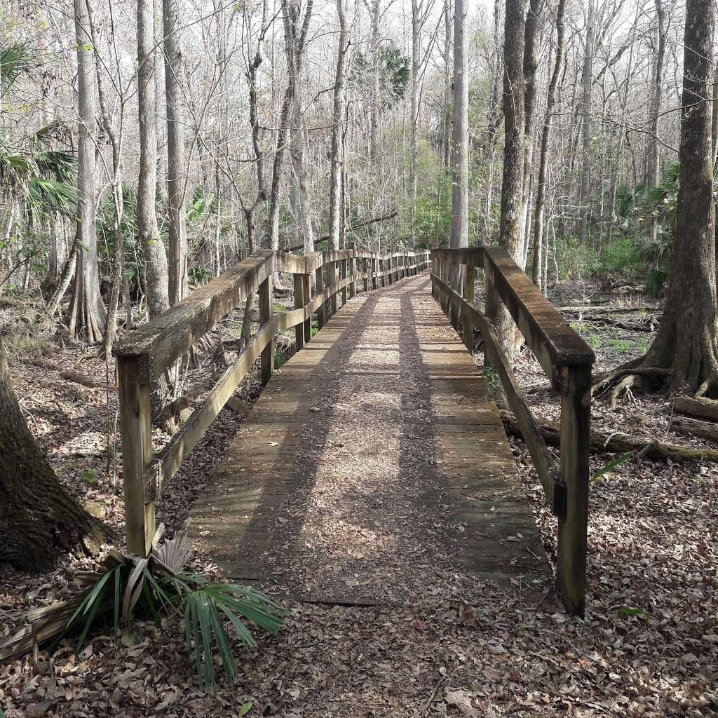 Baseline Road Trailhead | 4255 SE 58th Ave, Ocala, FL 34472, USA | Phone: (352) 671-8560