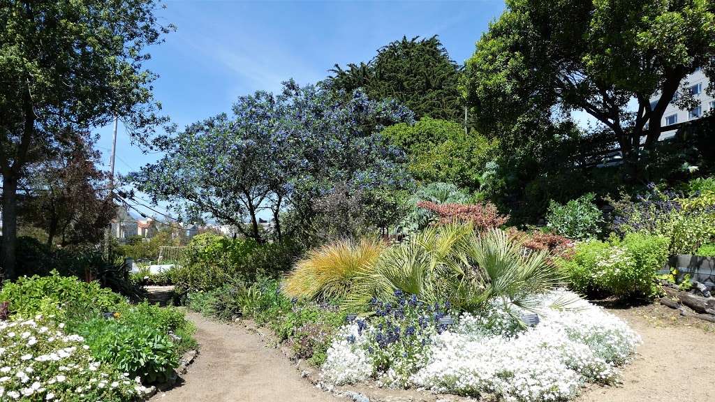 Garden for the Environment | 1590 7th Ave, San Francisco, CA 94122, USA | Phone: (415) 558-8246