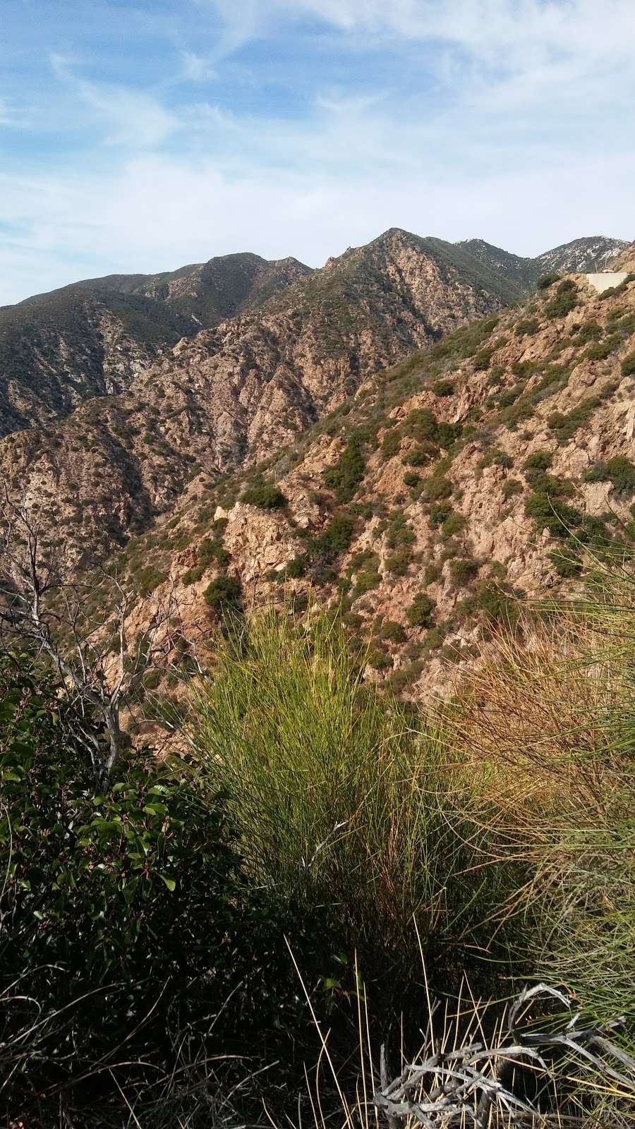 Echo Mountain Trail | Mt Lowe Rd, Altadena, CA 91001, USA