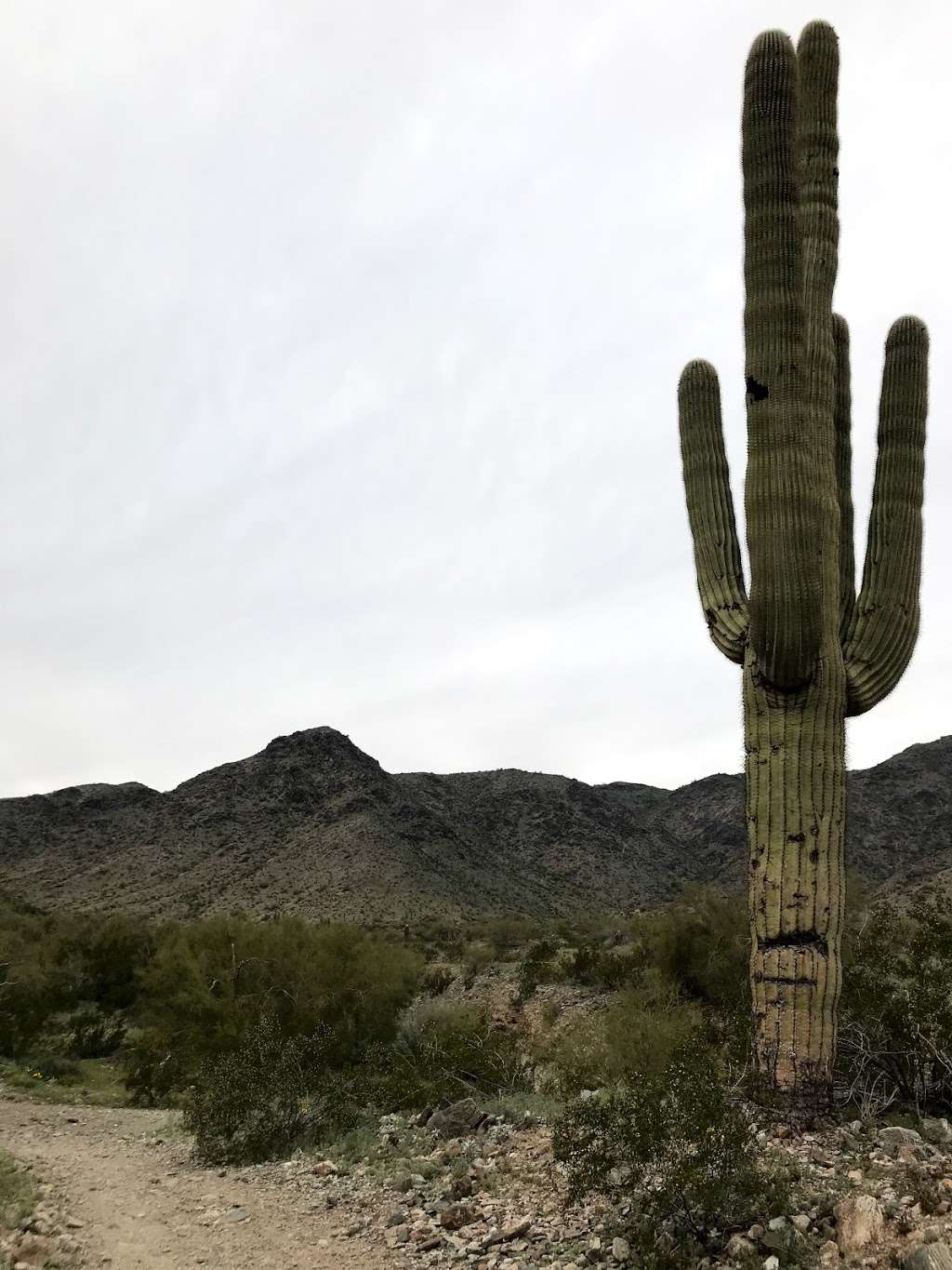 Bursera Peak | Phoenix, AZ 85045, USA