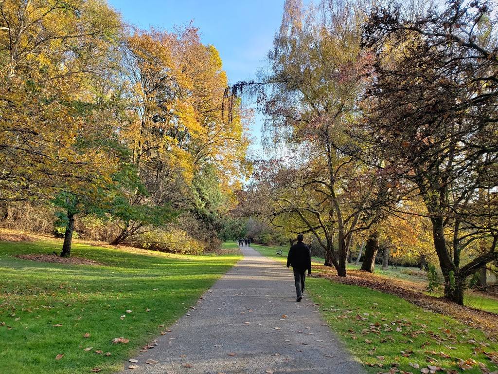 Washington Park Arboretum UW Botanic Gardens | 2300 Arboretum Dr E, Seattle, WA 98112, USA | Phone: (206) 543-8800