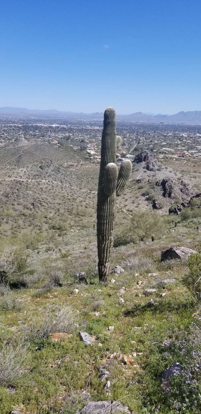 Phoenix Mountain Preserve - 40th St. Trailhead | 9200 N 40th St, Phoenix, AZ 85028, USA | Phone: (602) 261-8318