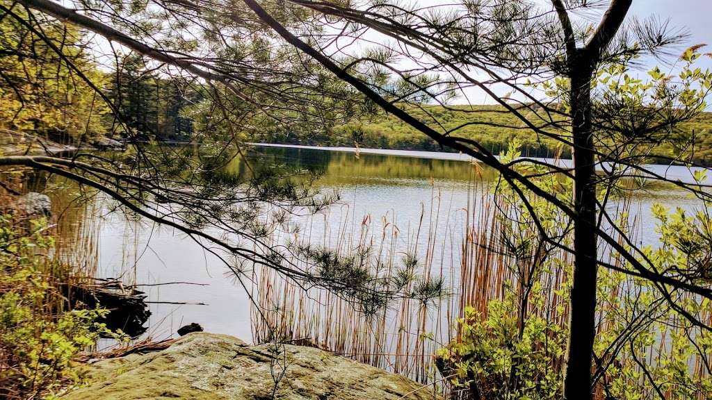 Sterling Loop Trail Head | Old Forge Rd, Tuxedo Park, NY 10987, USA