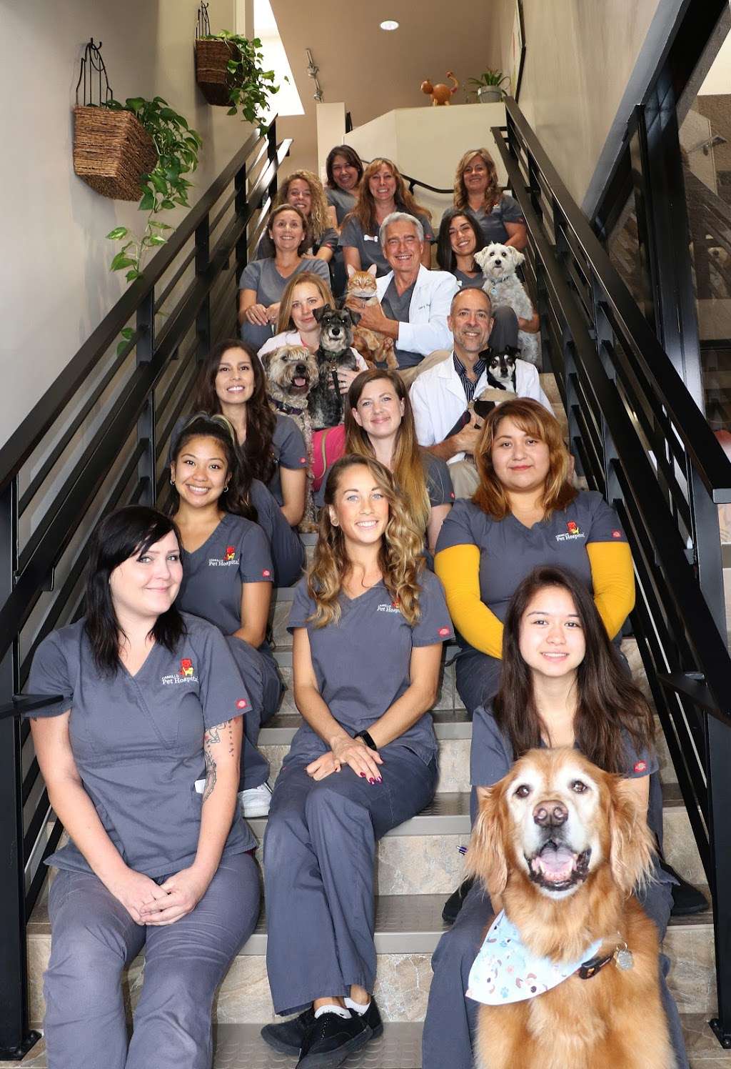 Cabrillo Pet Hospital | 4134 Voltaire St, San Diego, CA 92107, USA | Phone: (619) 225-9684