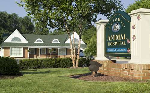 Potomac Animal Hospital Inc | 10020 River Rd, Potomac, MD 20854 | Phone: (301) 299-4142