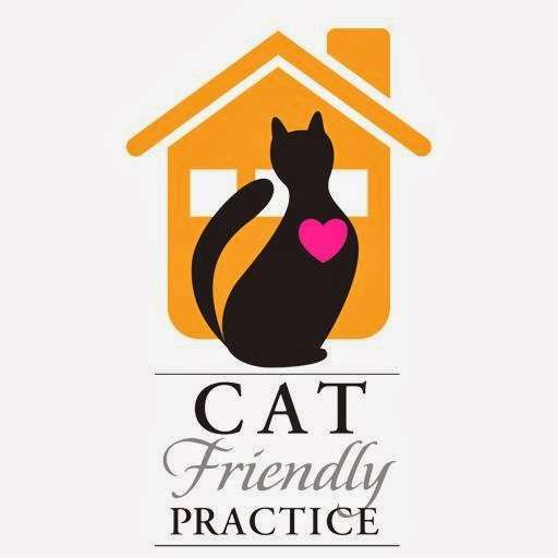 The Cat Clinic | 19850 Kedzie Ave, Flossmoor, IL 60422, USA | Phone: (708) 206-2287