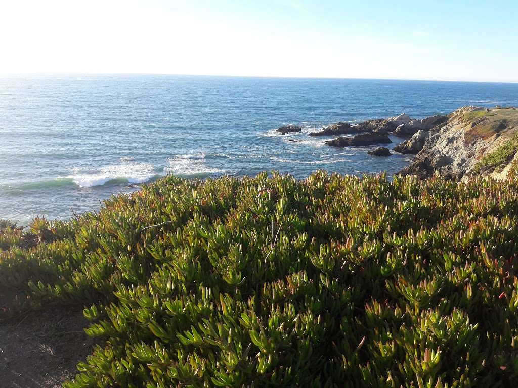 Bodega Head Trail | 3799 Westshore Rd, Bodega Bay, CA 94923, USA | Phone: (707) 875-3483