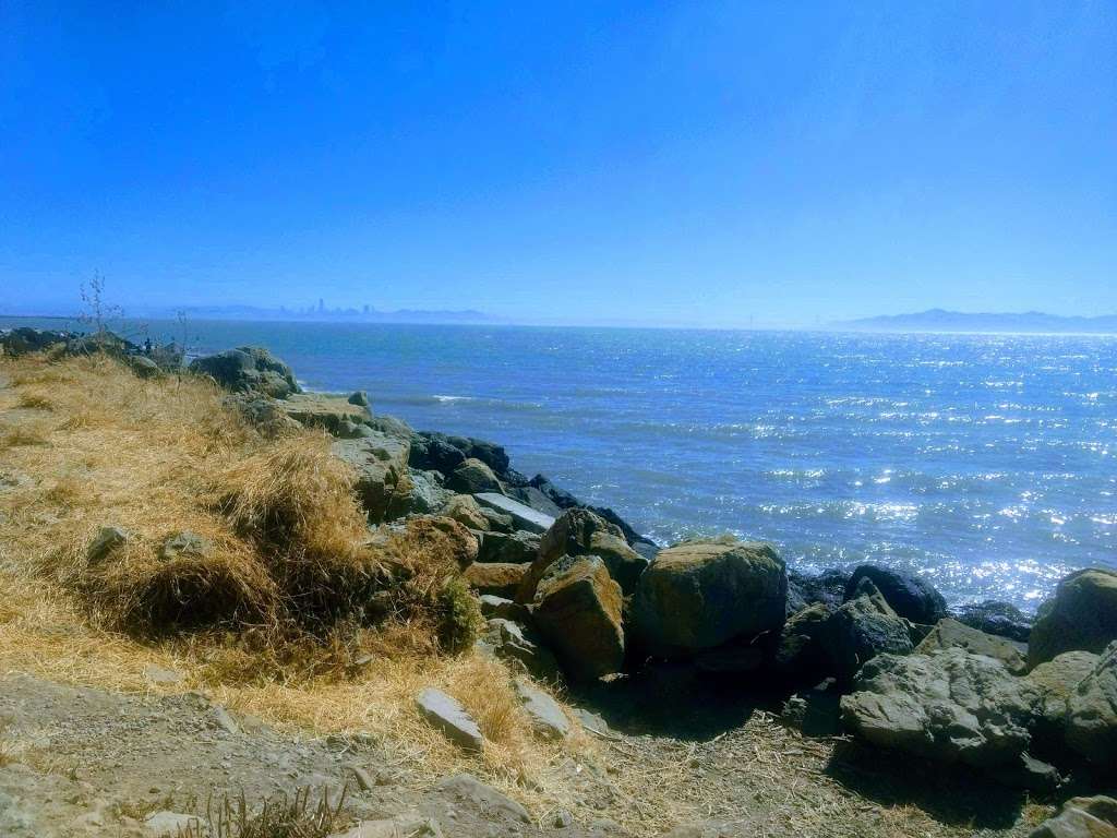 Point Isabel Dog Park | Richmond, CA 94804, USA